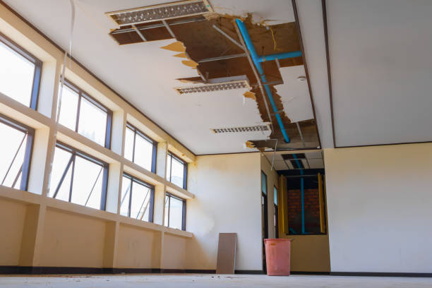 Best Water damage restoration near me  in Landing, NJ