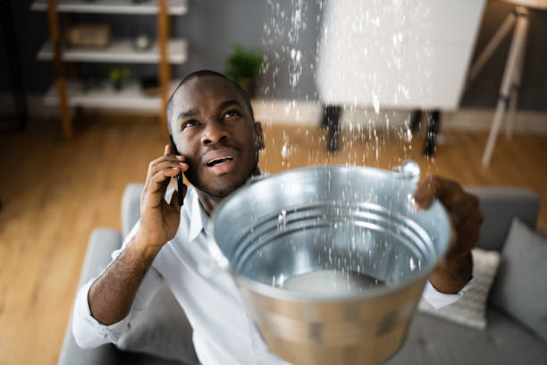 Best Ceiling water damage repair  in Landing, NJ