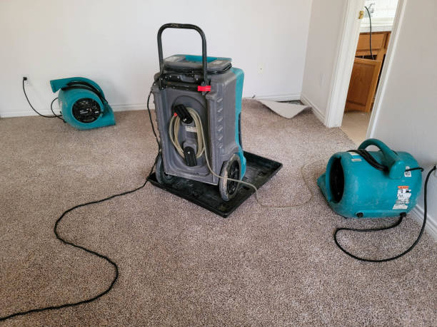 Best Water damage restoration cost  in Landing, NJ