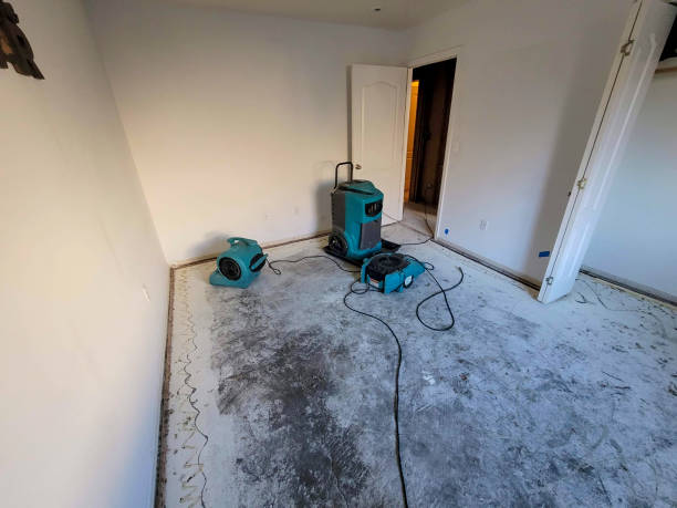 Best Residential water damage restoration  in Landing, NJ