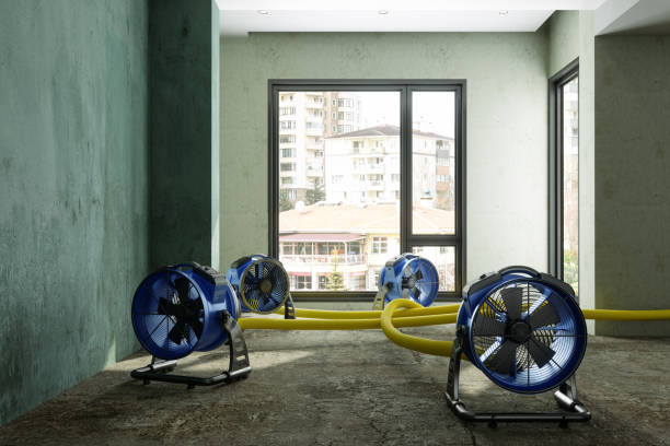 Best Water damage restoration near me  in Landing, NJ